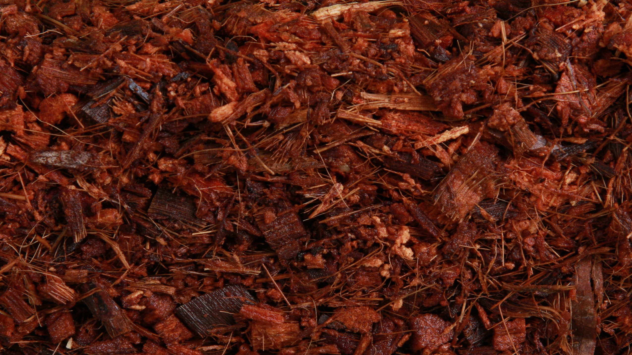 projar fibra de coco sales|projar fibra de coco sales|projar fibra de coco sales|projar fibra de coco sales